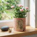 Kukkaruukku koristeellinen lohi metallinen istutuskone Ø15,5cm K15cm | Floristik24.fi