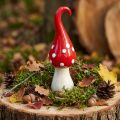 Deco-perhoheltakeramiikka Deco-sieni Punainen Valkoinen Ø6,5cm K21cm | Floristik24.fi