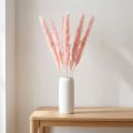 Pampasruoho koristelu, pampasruoho kuivattu pampasruoho pinkki 72cm 6 kpl | Floristik24.fi