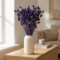Phalaris Violet kuivattu koristeheinä 50-55cm 100g | Floristik24.fi