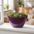 Kasvivene koristekulho violetti 20×9cm K12cm | Floristik24.fi