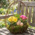 Metallikori, metallinen istutusastia, kevätkoriste, pääsiäiskori, ruskea, ruosteenvärinen, K34cm P30cm | Floristik24.fi