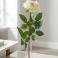 Keinotekoinen ruusu, koristeruusu, silkkikukka kermavalkoinen, vihreä L72cm Ø12cm | Floristik24.fi