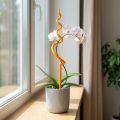 Orkideakeppi, muovia, oranssi, kiipeilyapu orkideoille, korkeus 64 cm | Floristik24.fi