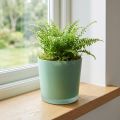 Lasinen kukkaruukku vihreä istutusastia lasiallas Ø11,5cm K11cm | Floristik24.fi