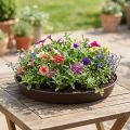 Kasvirengas "Rondino" Ø35-55cm, 1kpl | Floristik24.fi