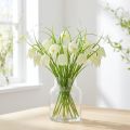 Shakkilaudan kukat Fritillaria tekovalkoinen, vihreä 40cm 12 kpl | Floristik24.fi