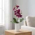 Pieni orkidea Phalaenopsis tekokukka tumman violetti 30cm | Floristik24.fi