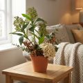 Keinotekoiset vihreät Skimmia japonica -kukat, 45 cm, 2 kpl | Floristik24.fi