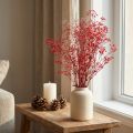 Gypsophila Gypsophila kuivatut kukat Punainen 50cm 55g | Floristik24.fi