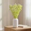 Kuivattuja Nigellan kukkia, ihastuttava luonnollinen huonekoriste kotiin, 70 cm, 50 g | Floristik24.fi
