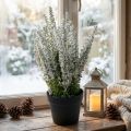 Erika valkoinen kanervan luuta kanervan tekokasvi H26cm | Floristik24.fi