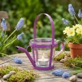Lyhtylasinen koristekastelukannu metalli pinkki Ø14cm K13cm | Floristik24.fi