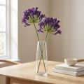 Agapanthus-tekokukat violetit