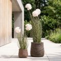 Tekokukat koristepallo kukka allium koriste sipuli keinotekoinen 54cm | Floristik24.fi