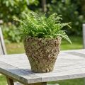 Ruukku rustiikkinen sammaleenkuvio Ø17cm K16.5cm | Floristik24.fi