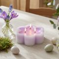 Kolmilankainen kynttilä kukkakynttilänä violetti valkoinen Ø11,5cm H4cm | Floristik24.fi