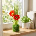 Unikonpunainen ruohossa 23cm | Floristik24.fi