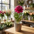 Pakkaussuppilo Kukkapussit kalvolla L25cm K25cm 50 kpl | Floristik24.fi