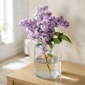 Lasimaljakko kirkas sylinterimäinen Ø12cm K20cm | Floristik24.fi