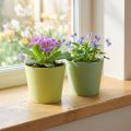 Paperiruukku, miniruukku, kätköruukku sininen/vihreä Ø9cm K7,5cm 4kpl | Floristik24.fi