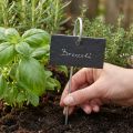 Natural Slate Slabs Plug Plant Signs Musta 25cm | Floristik24.fi