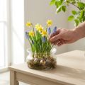 Lasikulho koristekulho lasinen kelluva kulho Ø16cm K8cm | Floristik24.fi