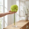 Allium vihreä kukka keinotekoinen koriste sipuli Ø18cm 90cm | Floristik24.fi