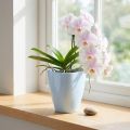 Orkidearukku kiiltävä Ø12,5cm valkoinen 1 kpl | Floristik24.fi