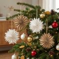 Paperitähdet, valko-ruskea, 16 cm, joulukoristeet, 6 kpl | Floristik24.fi