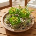 Echeveria Artificial Succulents Vihreä Ø7cm 6 kpl | Floristik24.fi
