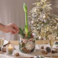 Koristeellinen lasi maljakkolyhty lasi kirkas Ø18cm H20cm | Floristik24.fi