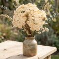 Siankärsämö keinotekoinen kerma Achillea-tekokukat 30cm 6 kpl | Floristik24.fi