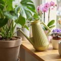 Sisäkastelukannu, oliivinvihreä, retrotyylinen, 24,5 cm, 1,8 l, designkastelukannu, muovia, kasvien kasteluun | Floristik24.fi