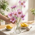 Cosmea korukori violetti tekokukat kesä 51cm 3kpl | Floristik24.fi
