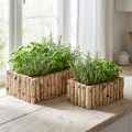 Kasvilaatikko puinen yrttilaatikko koivu L23/28cm 2 kpl setti | Floristik24.fi