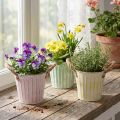 Koristeellinen ruukku, metallinen ämpäri istutusta varten, istutuslaatikko kahvoilla, pinkki/vihreä/keltainen shabby chic Ø15cm K13cm 3-osainen setti | Floristik24.fi