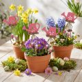 Kukkatulppa pilkullinen kastelukannu koristepuu 4,5×7cm 10 kpl | Floristik24.fi
