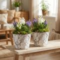 Koristeruukku vaalennettua koivua Ø18cm K15cm 2kpl | Floristik24.fi