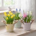 Istutusämpäri, metallinen ruukku kahvoilla, koristeellinen istutusastia, pinkki/vihreä/keltainen, shabby chic, Ø12cm, korkeus10cm, 3 kpl setti | Floristik24.fi