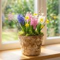 Pyöreä ruukku, luonnonvärinen koriste, tuohi, koivuinen ruukku, Ø12cm, korkeus 10cm, 5 kpl | Floristik24.fi