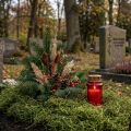 Koristeellinen sammalkuivattu metsänvihreä luonnonkoristelu 300g | Floristik24.fi