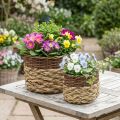 Pajukori Natural Pajukasvikulho Natural L30/22cm K20/17cm 2 kpl setti | Floristik24.fi