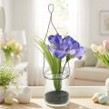 Iris lila lasissa ripustettavaksi H21.5cm | Floristik24.fi