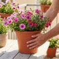 Ruukku "Irys" muovinen terrakotta Ø29cm K24cm 1 kpl | Floristik24.fi