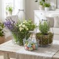 Lankakori kahvalla, korit nostalgisia, metallikori nuhjuinen chic, antiikkihopea, hopea, valkoinen L35/30/25cm K46.5/35/25cm 3 kpl setti | Floristik24.fi