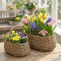 Kasvikori kahvalla korikori kukkakori L23/35cm 2 kpl sarja | Floristik24.fi