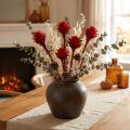 Plumosum 1 Red 25 kpl | Floristik24.fi