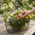 Lankakori soikea kahvalla 27x16,5cm K13,5cm ruskea | Floristik24.fi