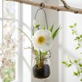 Unikko lasissa ripustettavaksi valkoinen H22cm | Floristik24.fi